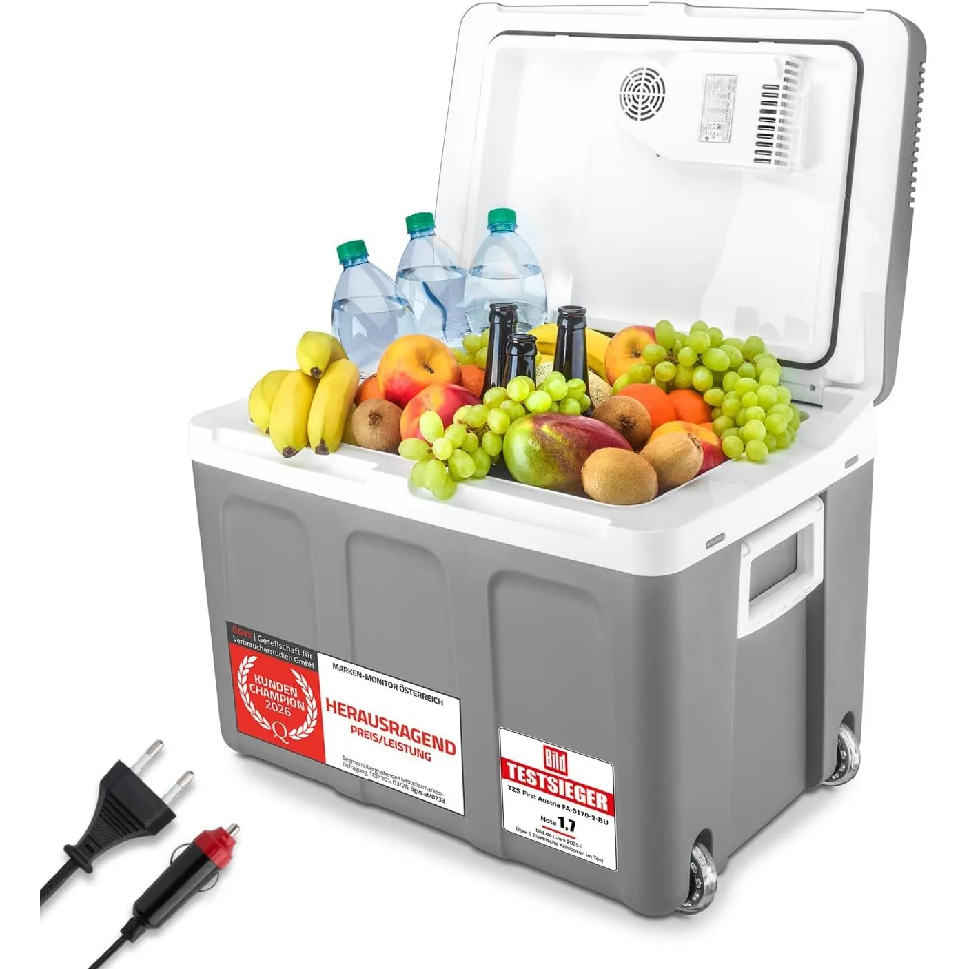 TZS First Austria - Kühlbox 45L elektrisch 12V 230V Anschluss für Auto & Steckdose - Thermoelektrische Cool Box kühlt &…