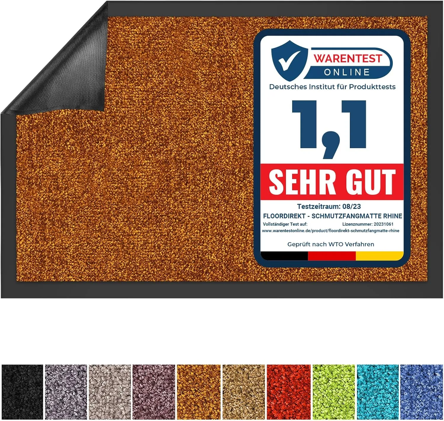 Floordirekt Schmutzfangmatte Rhine - waschbare & leistungsstarke Fußmatte - Sauberlaufmatte mit Rutschfester Rückseite …
