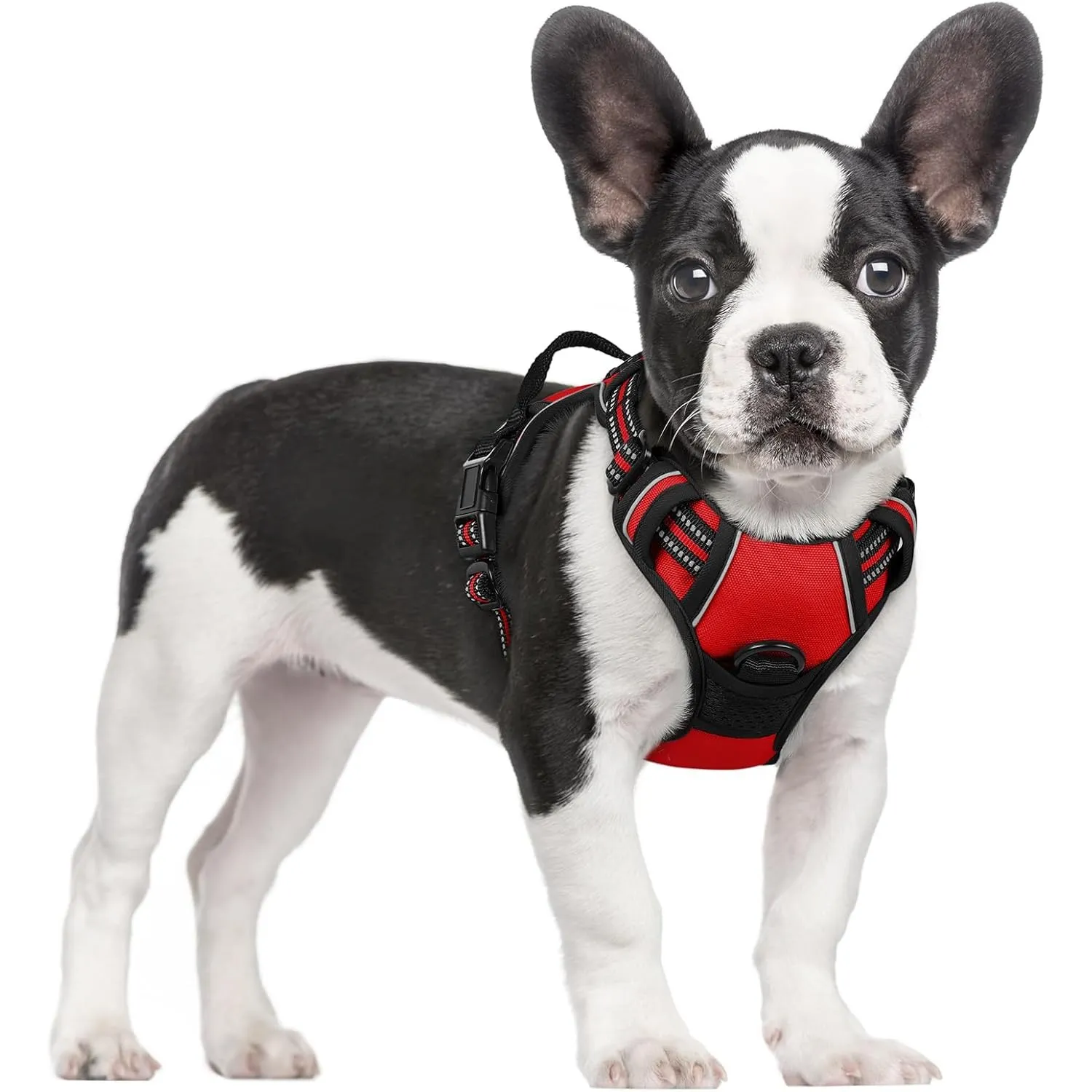 rabbitgoo Hundegeschirr Mittelgroße Hunde Anti Zug Geschirr Hund mit Kontrolle No Pull Verstellbar Hundegeschirr Grosse…