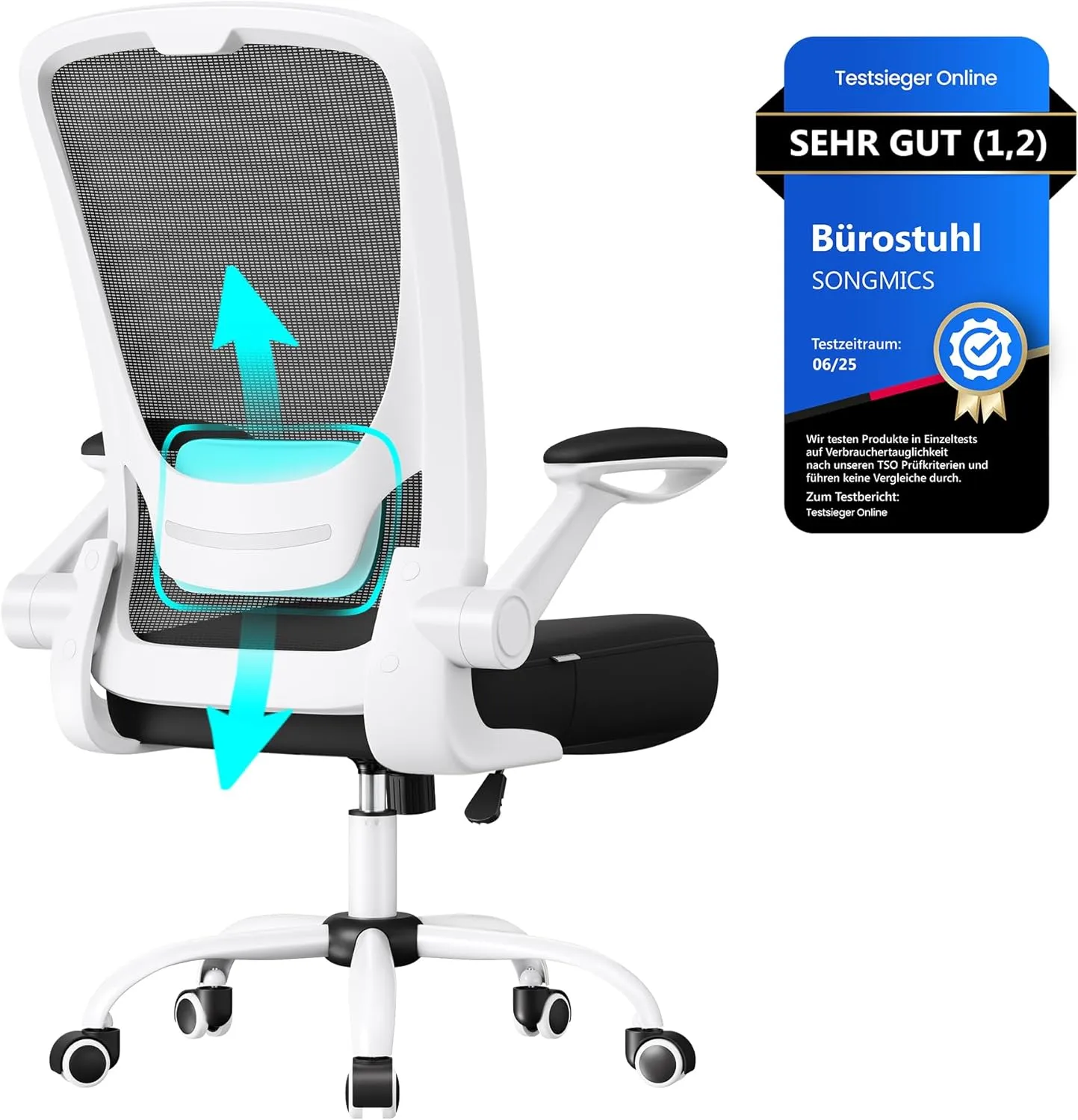 SONGMICS OBN37WT Ergonomic Canvas Office Chair, Padded Lumbar Support, Rocker Mechanism, 53 cm Wide Seat, Folding Armre…