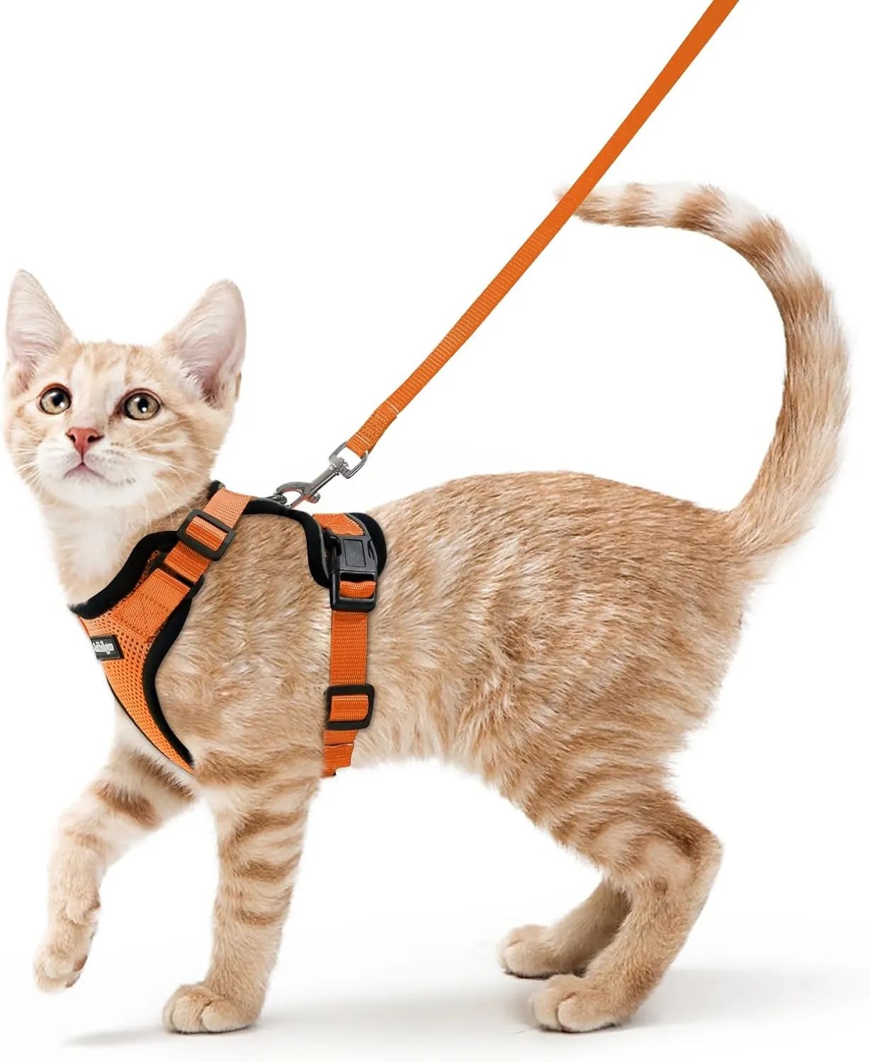 Rabbit goo cat harness with lead, escape proof cat lead, kitten puppy harness adjustable cat harness soft chest harness…