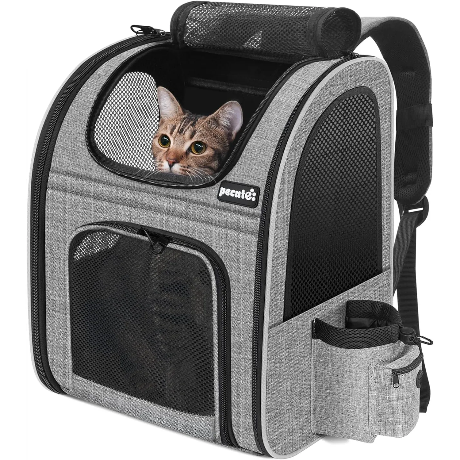 Pecute Haustier Rucksack mit Netzfenster, Tragbare und Faltbare Katzentasche, Atmungsaktive und Leichte Hundetasche, Wa…