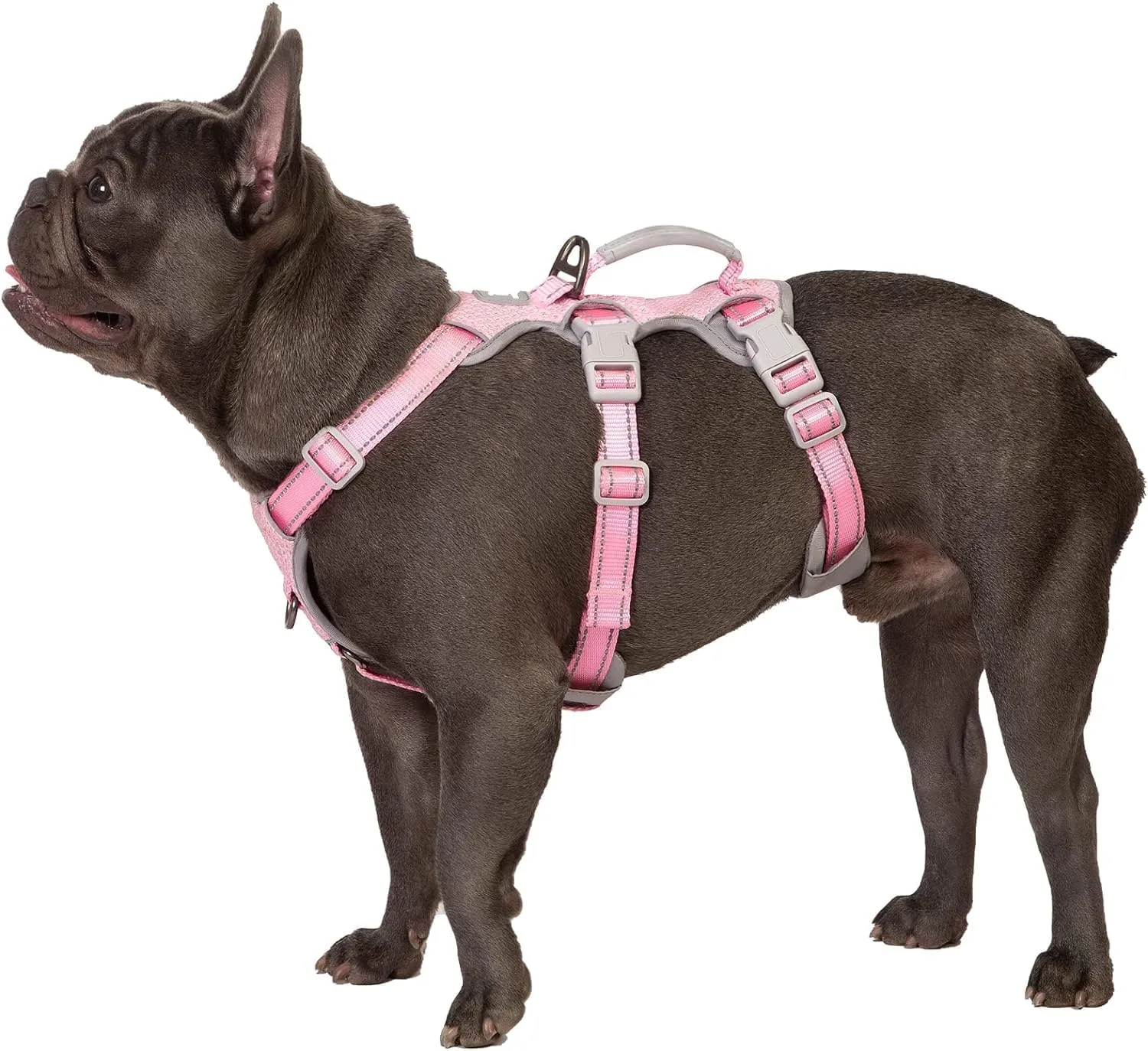 Huntboo Dog Safety Harness, Escape-Proof Dog Harness, Reflective Harness with Padded Handle, Adjustable Vest for Small …