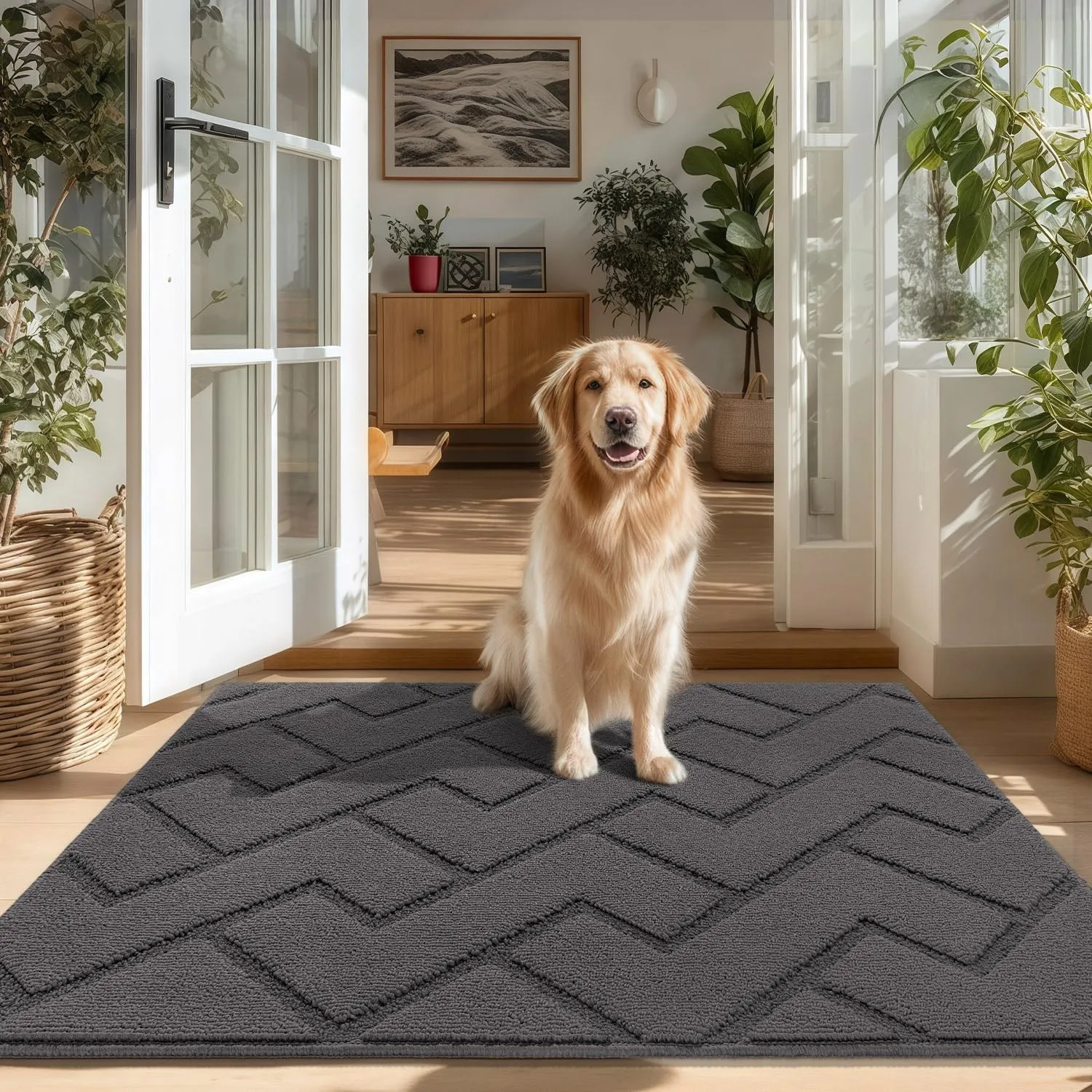Biscpro Fußmatte Innen 80x100cm,Schmutzfangmatte rutschfest Fussmatte Innen Waschbar Eingangsteppich Innen Fussmatten H…