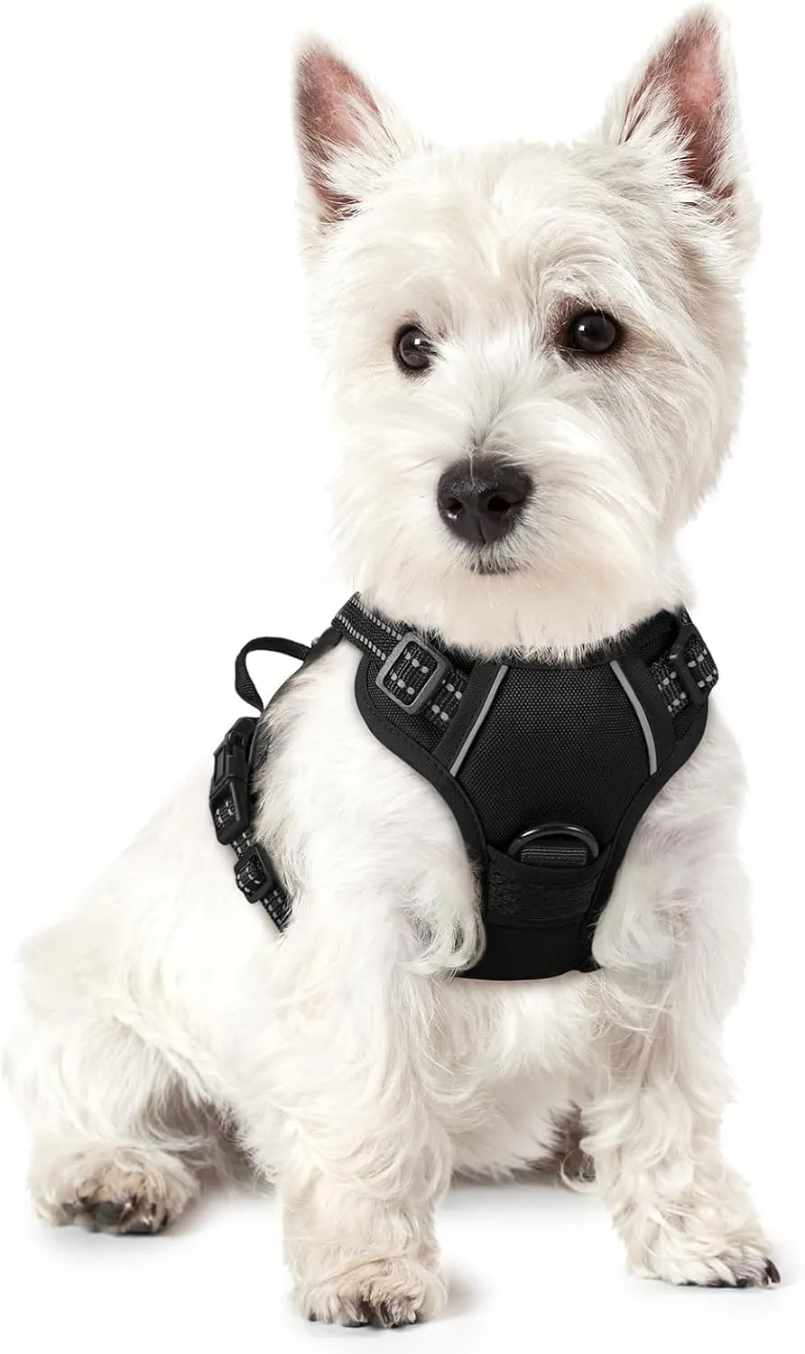 rabbitgoo Dog Harness for Small Dogs, Anti-pull Harness with Control, No-Pull, Adjustable Harness for Large Dogs, Breat…