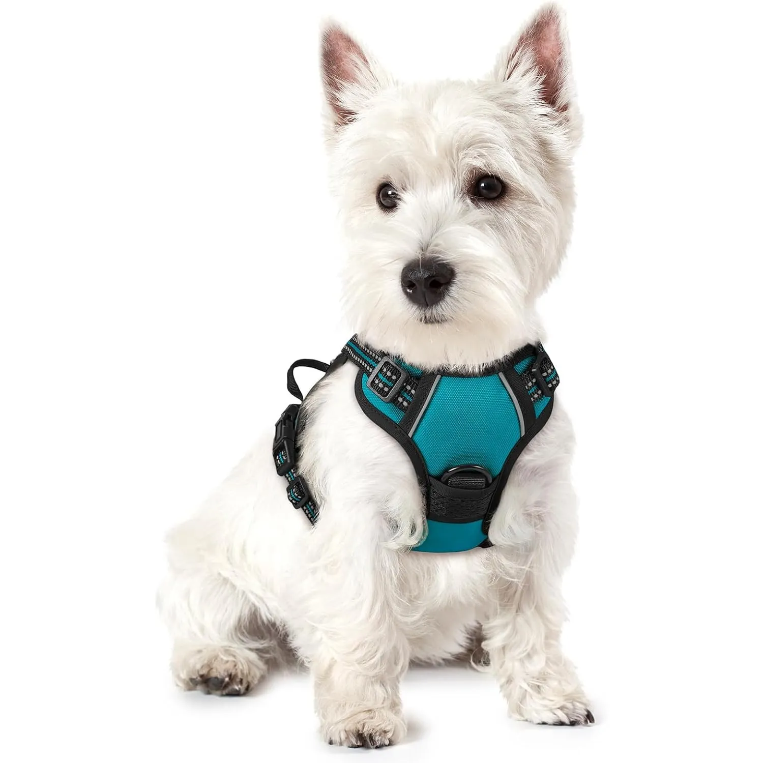 rabbitgoo Hundegeschirr Kleine Hunde Anti Zug mit Griff, XS, Petroleum