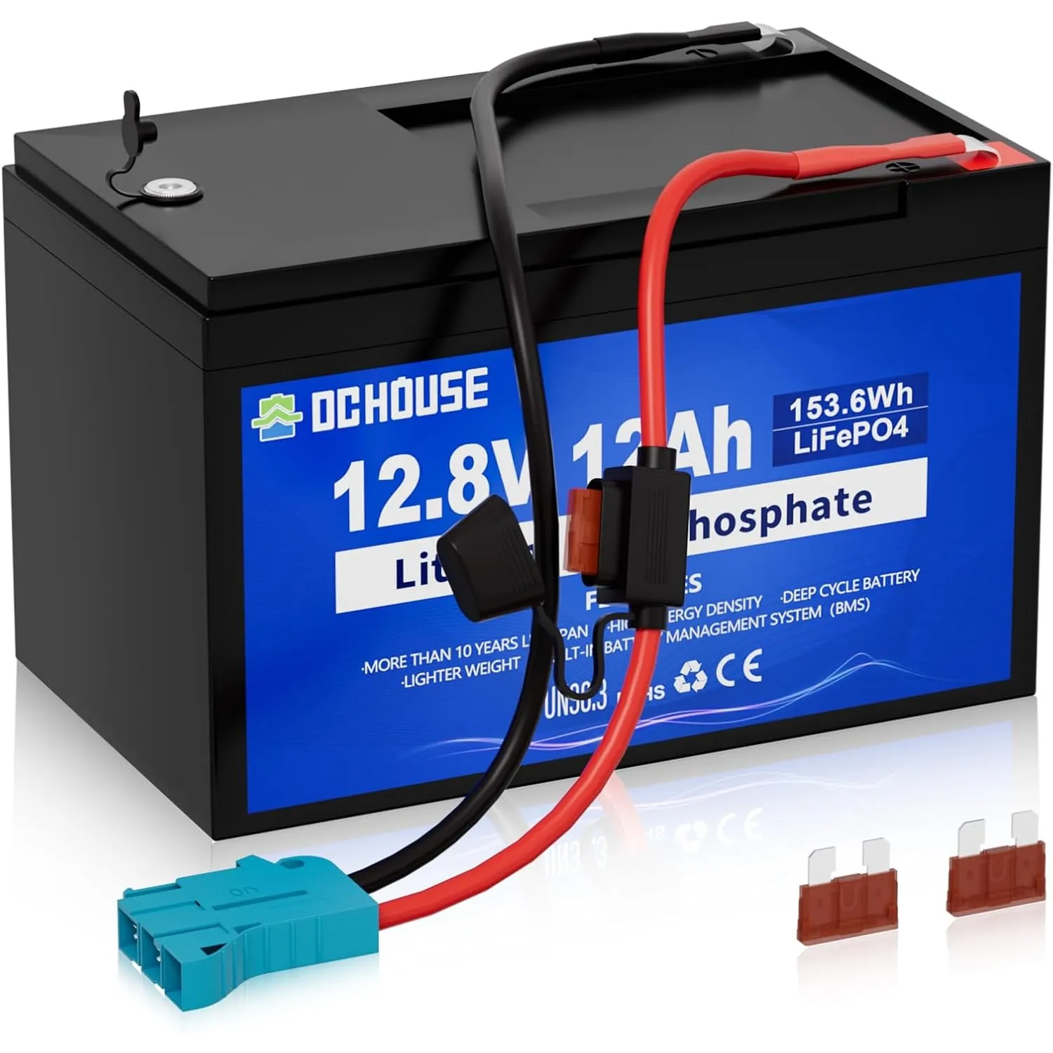 DCHOUSE 12V 12Ah LiFePO4 Batterie, Kabelbaumanschluss und DC Anschluss