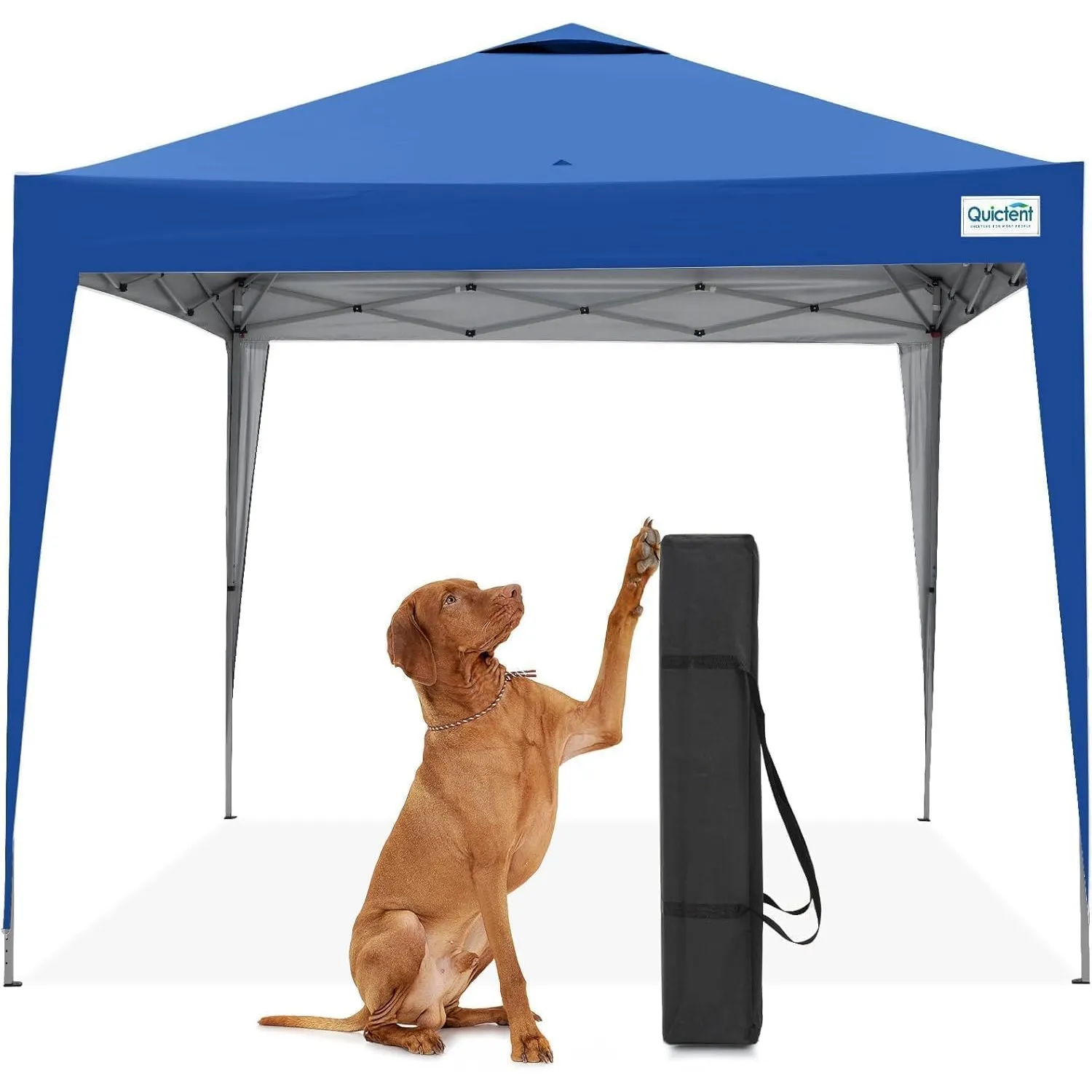 Quictent Pavillon 3x3m Wasserdicht Faltpavillon Stabil Winterfest, Pop-Up Klicksystem, UV-Schutz 50+, Gartenzelt, Party…