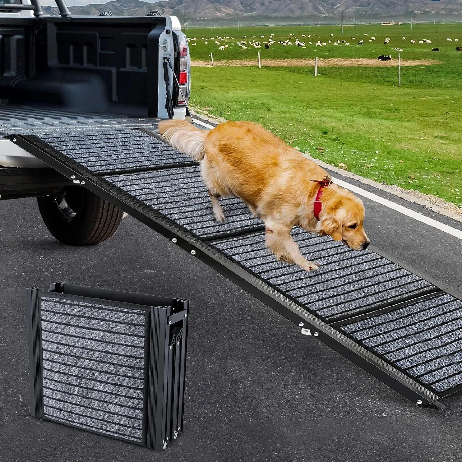 Längste 180cm & Breiteste 50cm Hunderampe,Faltbare Hunderampe Auto mit Rutschfester Teppich, Klappbar für Outdoor Stufe…