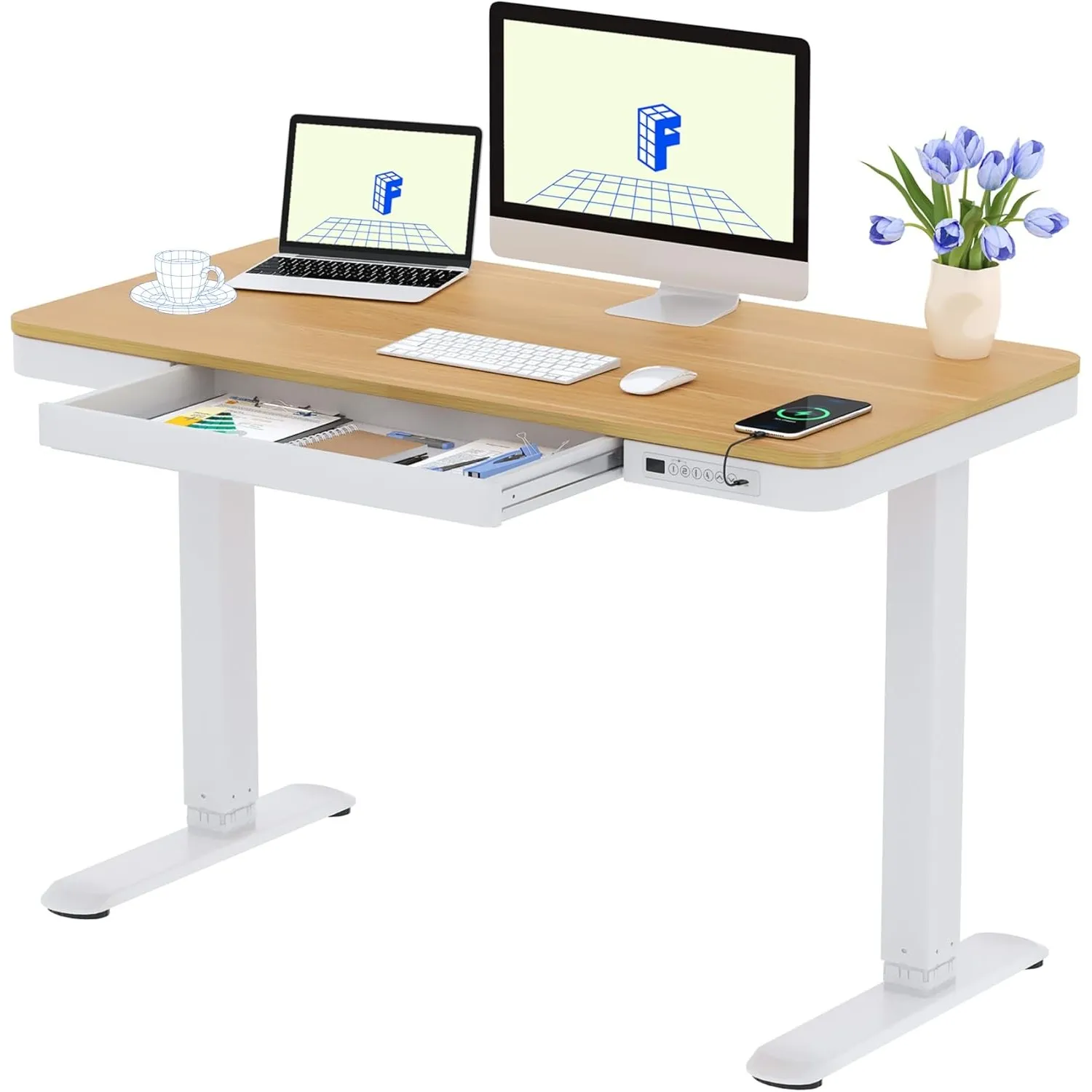 FLEXISPOT Höhenverstellbarer Schreibtisch mit Schublade und USB-C 120x60 cm