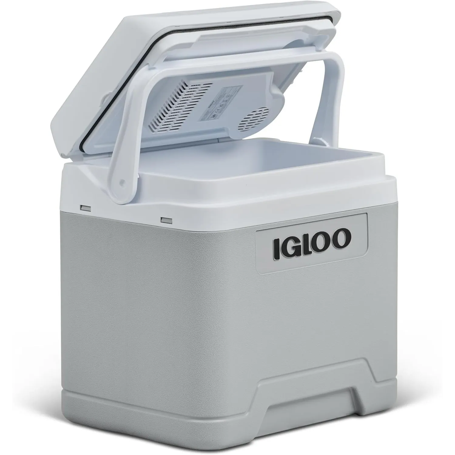 IGLOO IE24 elektrische Kühlbox, 12V und 230V, 24L - kompakter Mini-Kühlschrank, grau, für Auto, Camping, Urlaub, Boot, …