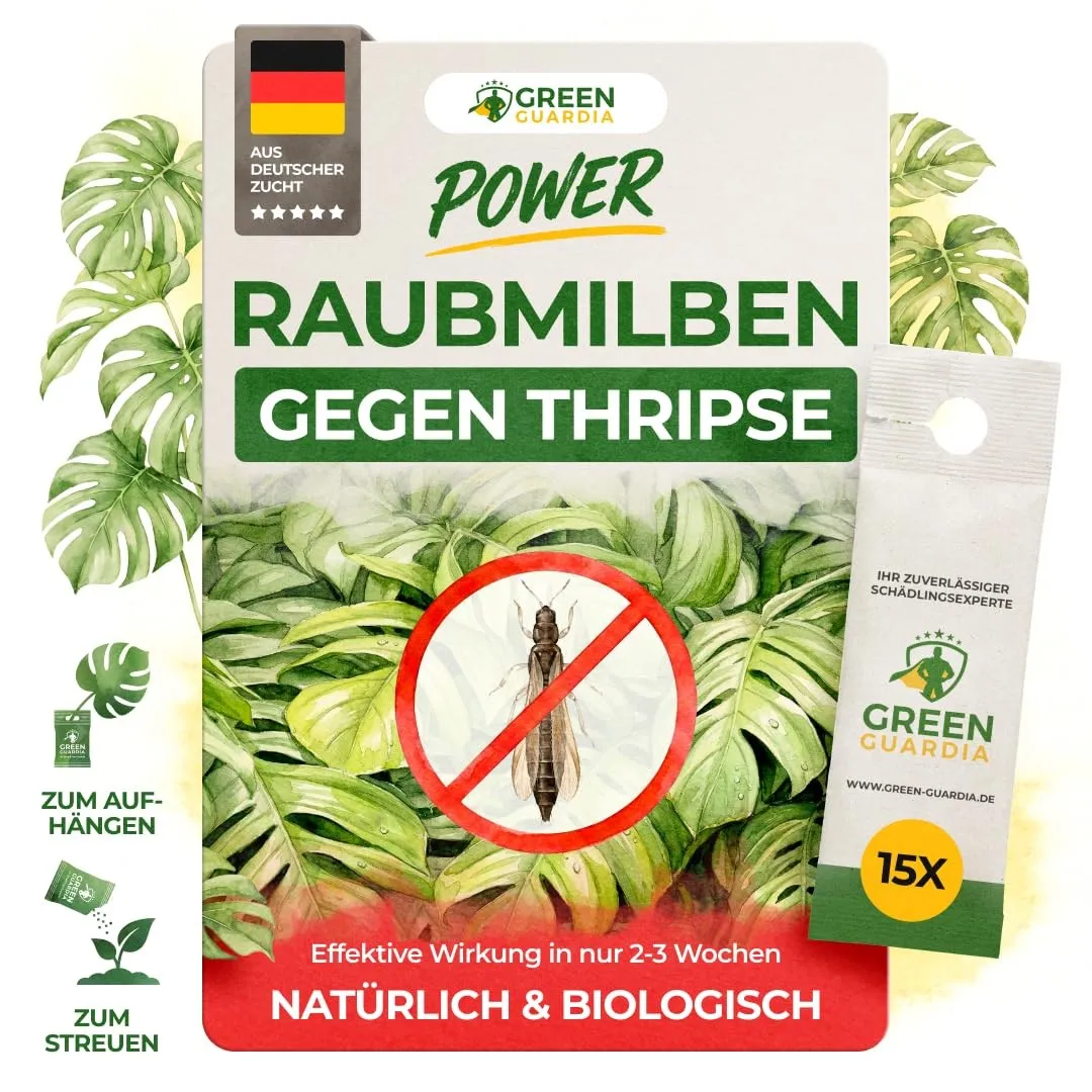 GREEN GUARDIA Power Raubmilben gegen Thripse – 15x Tüten - Biologisches Mittel zur effektiven Thripse Bekämpfung für Zi…