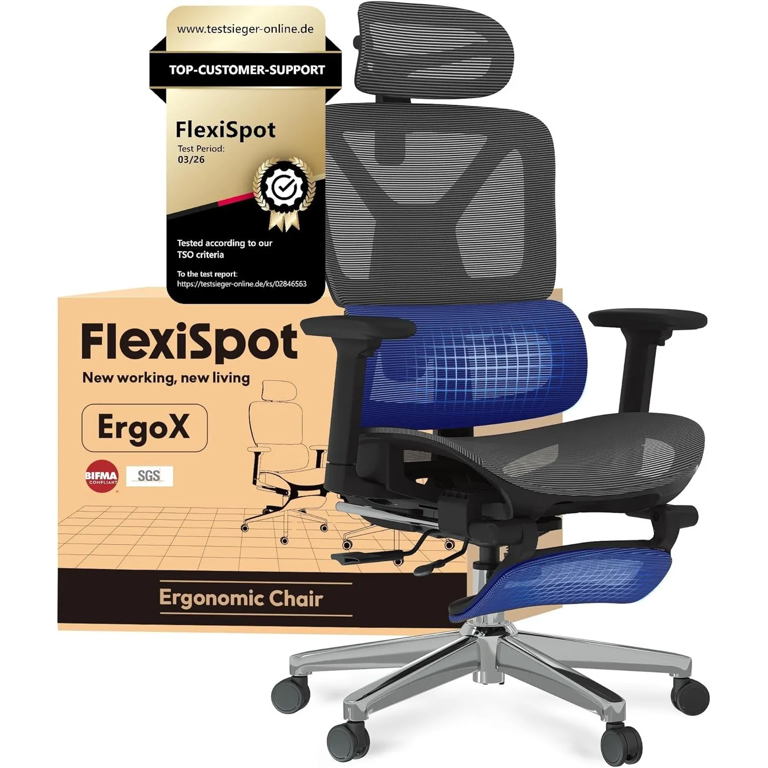 FLEXISPOT Ergonomischer Bürostuhl ErgoX Lite Grau