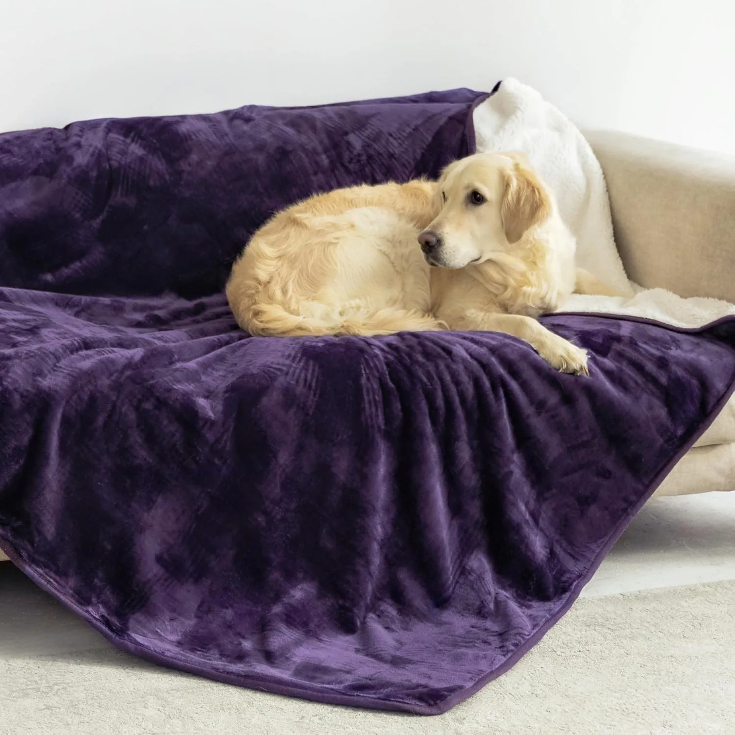Dreamzie - wasserdichte Hundedecke Flauschig - 127x152cm - Violett
