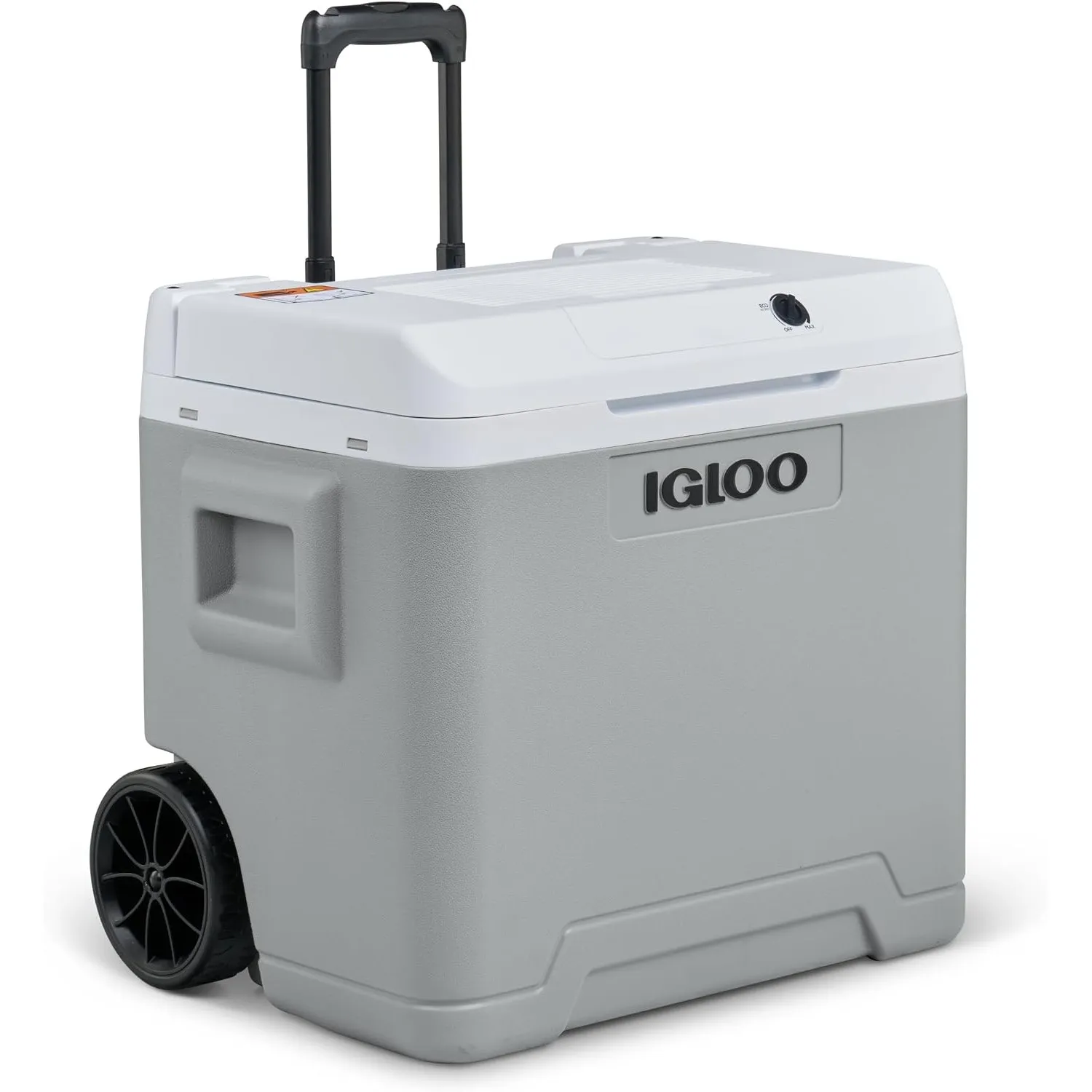IGLOO IE42 elektrische Kühlbox, 12V und 230V, 42L - kompakter Mini-Kühlschrank für Auto, Camping, Urlaub, Boot, Festiva…