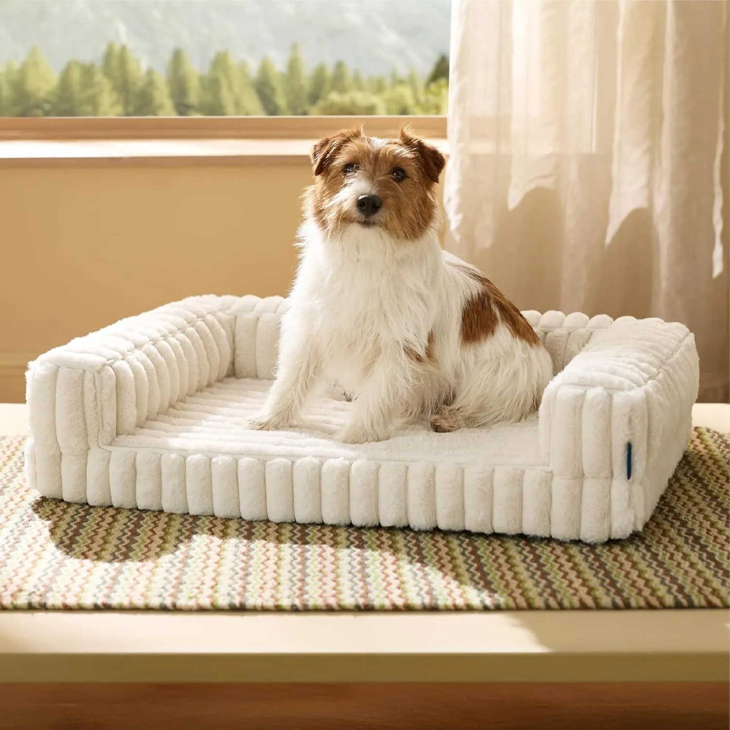 BEDSURE orthopädisches Hundebett für mittelgroße Hunde - 76x51x16.5cm wasserdichtes Hundesofa mit Memory-Schaum & Eierk…