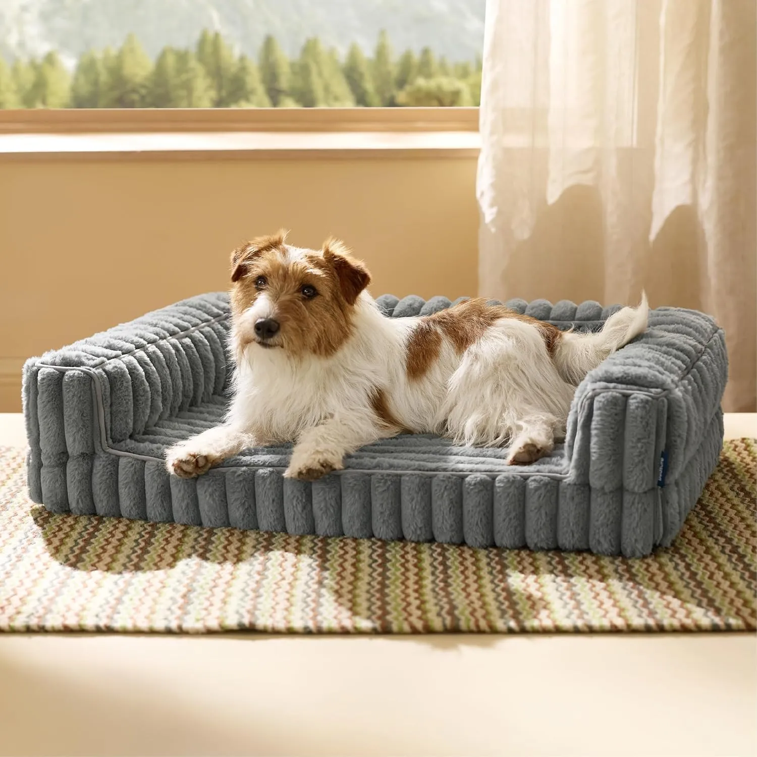 BEDSURE orthopädisches Hundebett für mittelgroße Hunde - 76x51x16.5cm wasserdichtes Hundesofa mit Memory-Schaum & Eierk…
