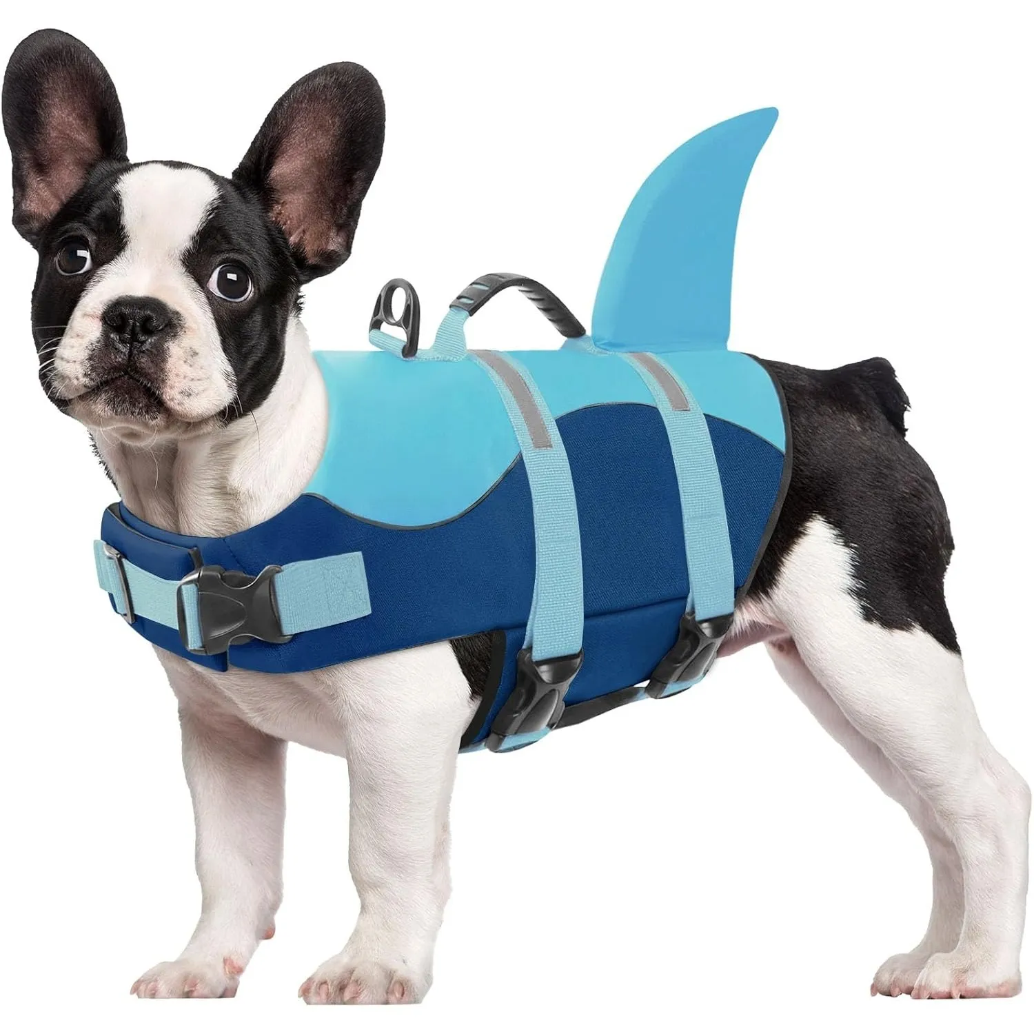 CITÉTOILE Schwimmweste Hund Hai, Hundeschwimmweste & Dog Life Jacket Verstellbar mit Griff und Reflektoren, Rettungswes…