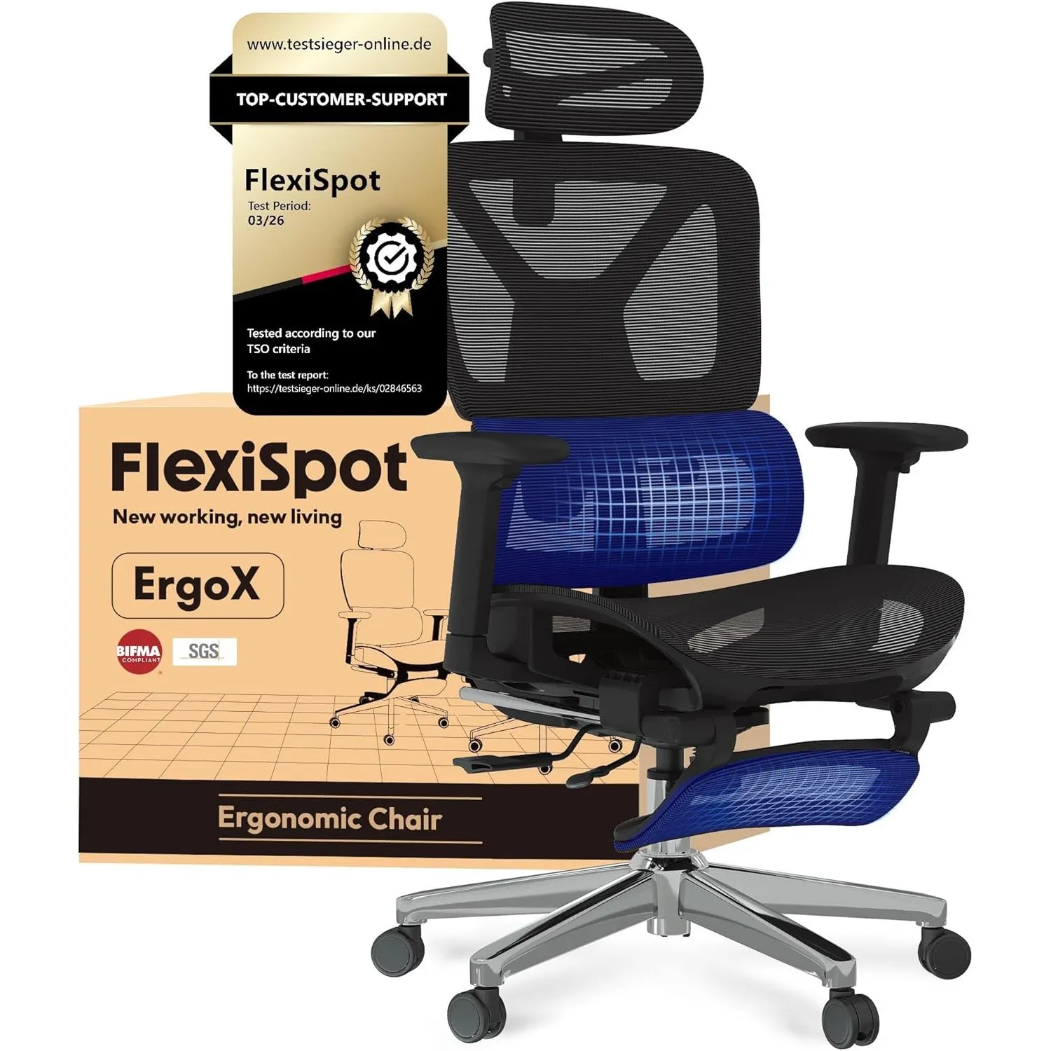 FLEXISPOT Ergonomischer Bürostuhl ErgoX Lite Schwarz