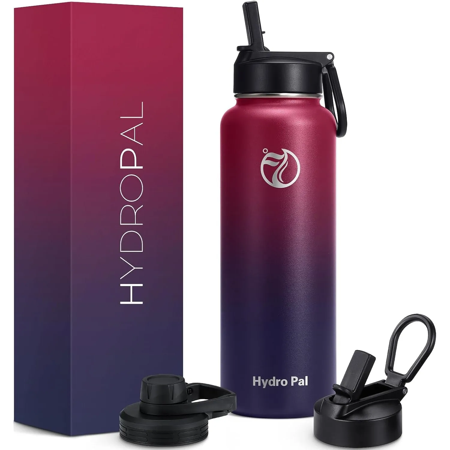 HydroPal Isolierflasche 500ml Edelstahl, BPA-frei, 24h kalt/12h heiß, auslaufsicher, Sport- & Trinkflasche mit Strohhal…