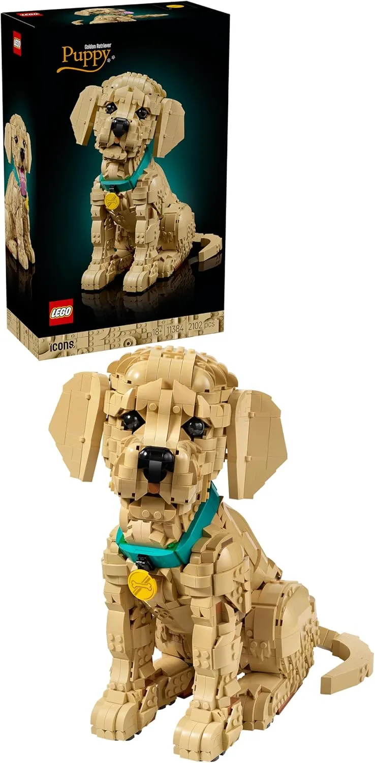 LEGO Icons Golden Retriever Welpe - Modellbau für Erwachsene - 3D Tierfigur zum Ausstellen mit Halsband & Medaille - DI…