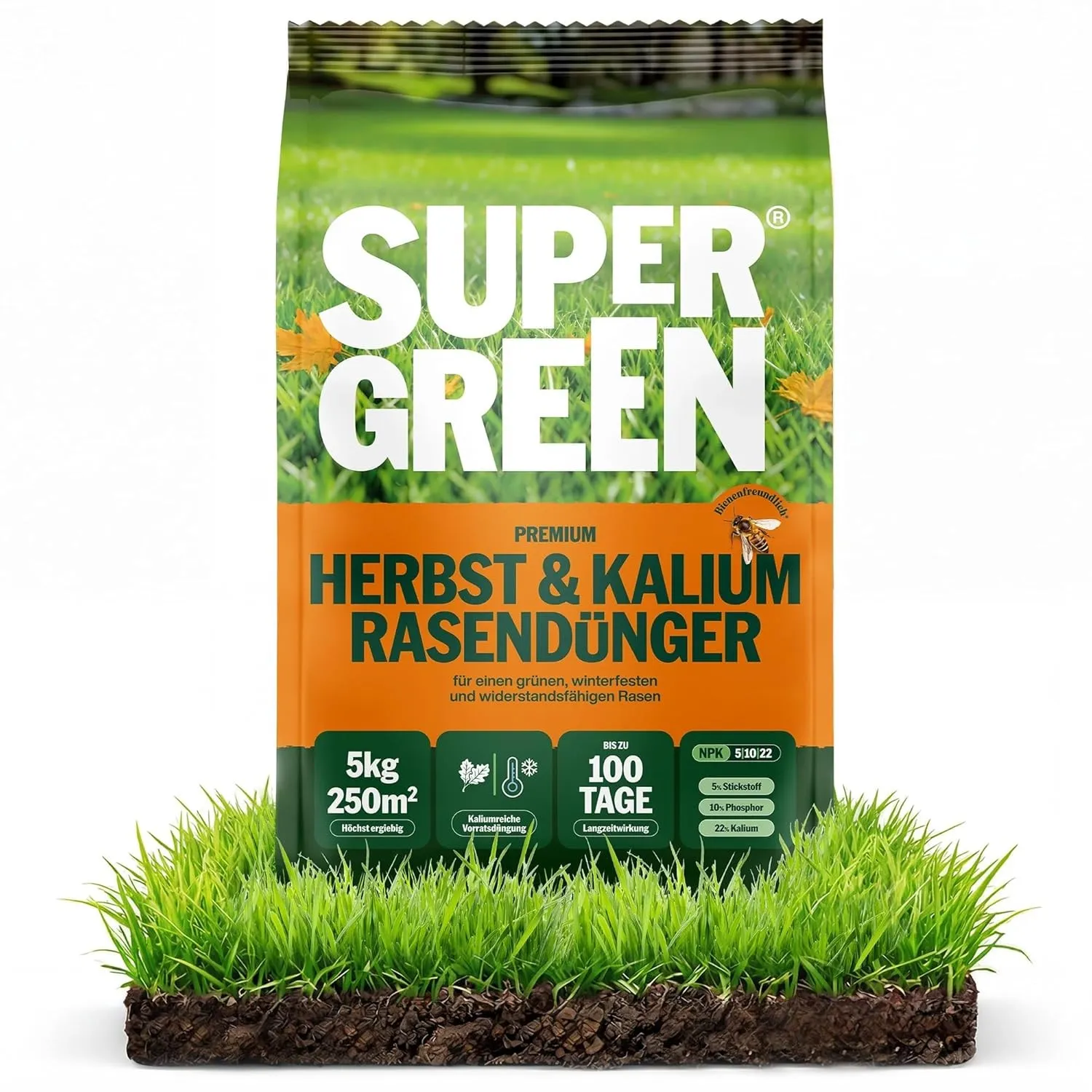 SUPERGREEN Herbst- & Kalium-Rasendünger Langzeit bis 100 Tage | 5 kg für 250m² | NPK 5-10-22 für winterharten Rasen | S…