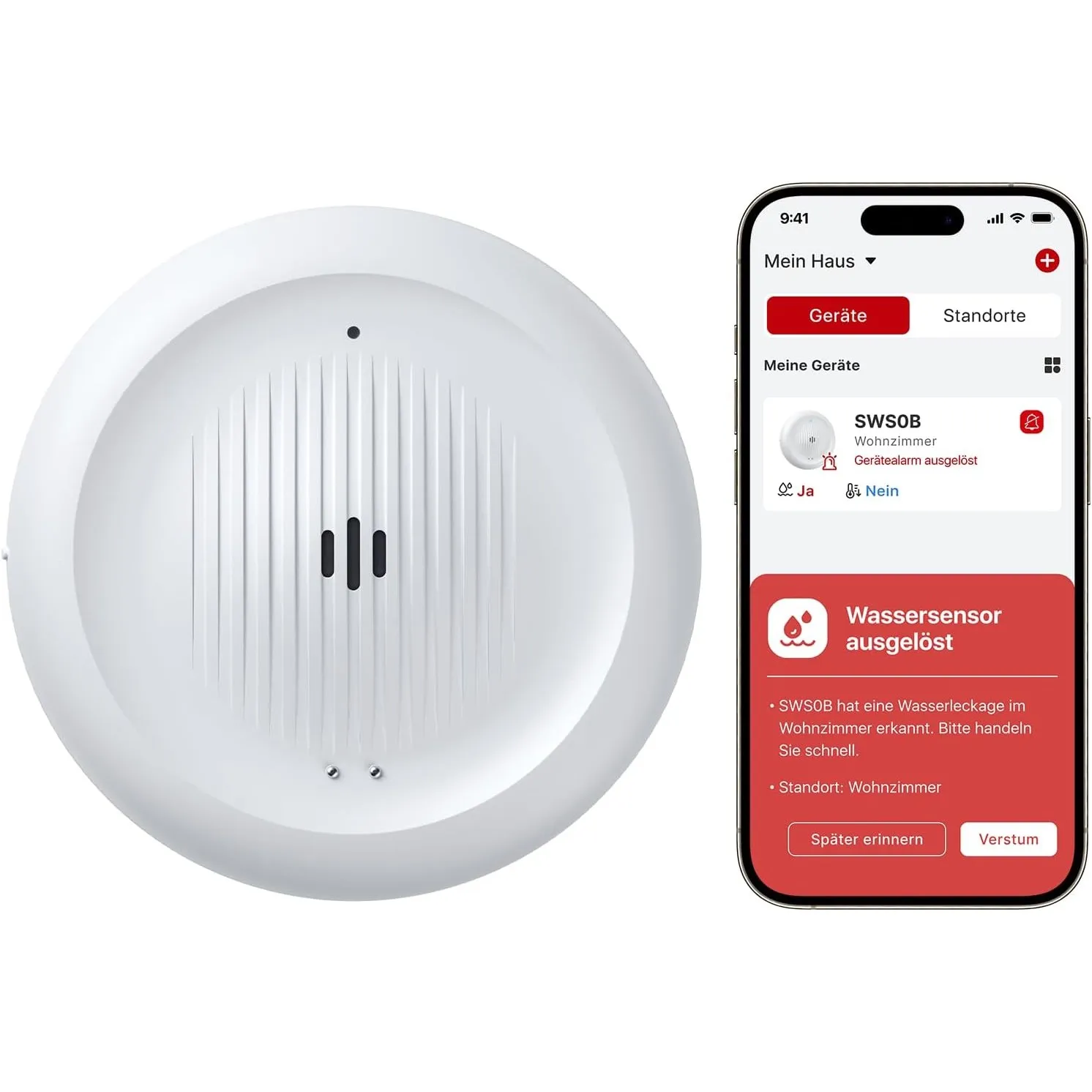 X-Sense 2-in-1 WLAN-Wassermelder mit Frostwarnung, Tieftemperatur-Melder, Smarter Sensor mit App-Benachrichtigungen, fü…
