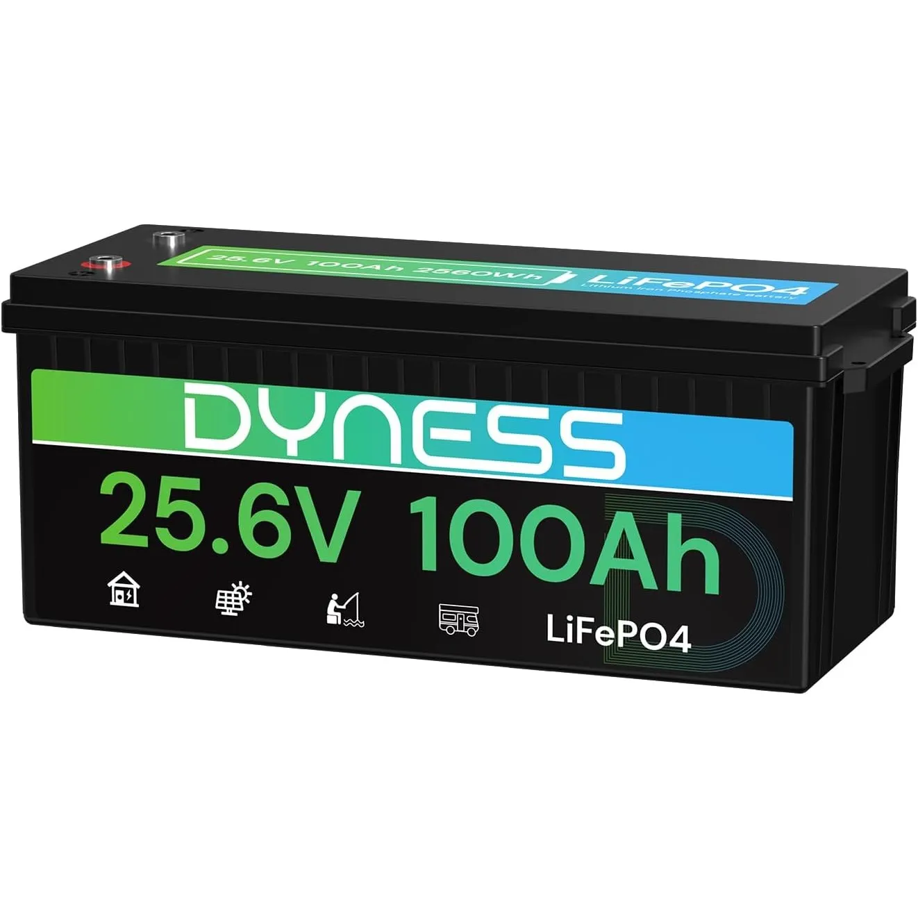 Dyness 24V 100Ah LiFePO4 Lithium Batterie mit Integriertem 100A BMS, ideal für 24V Trolling-Motoren(Bassboote), Wohnmob…