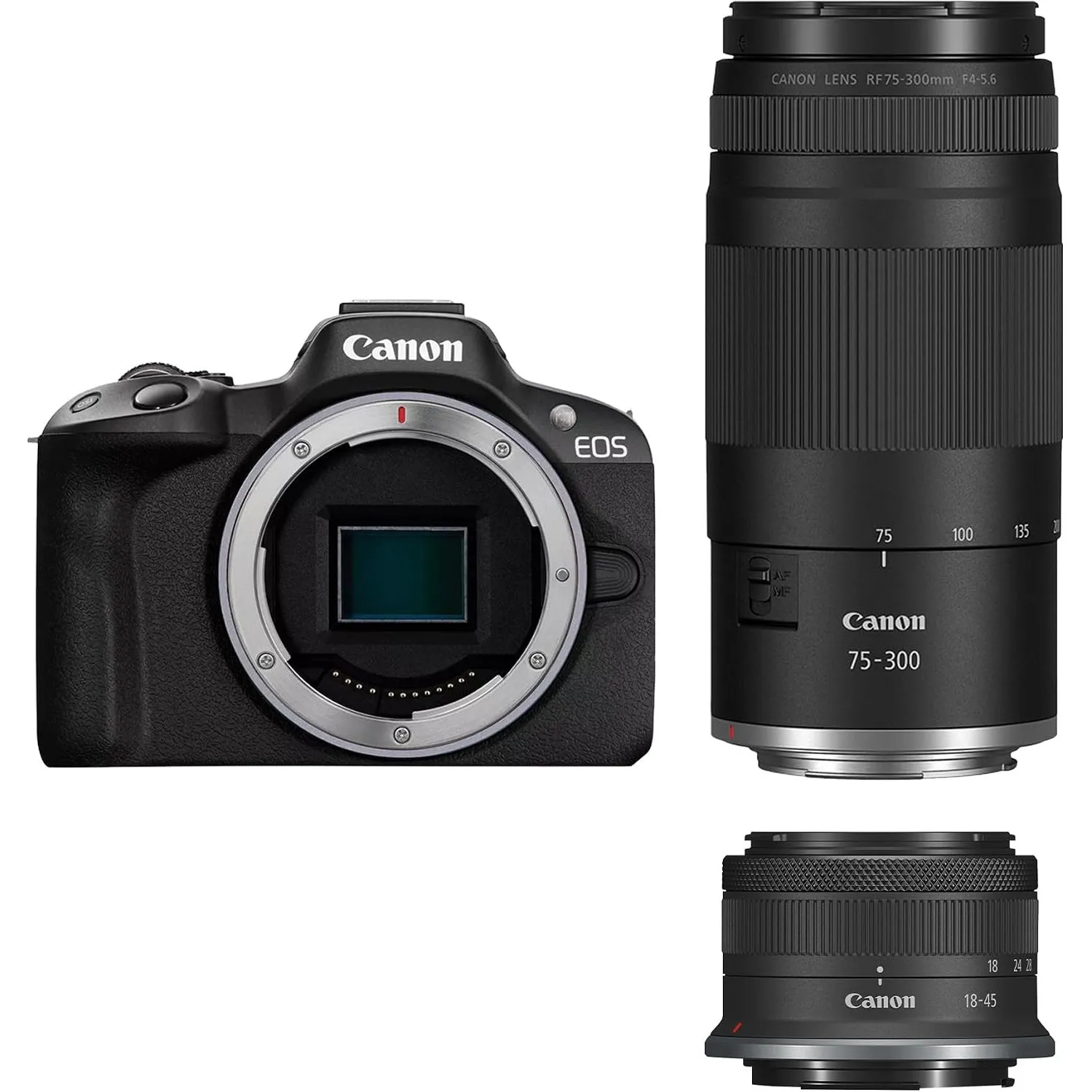 Canon EOS R50 Systemkamera + RF-S 18-45mm + RF 75-300mm Doppelzoom Kit - Spiegellose Kamera (Digitalkamera mit Autofoku…