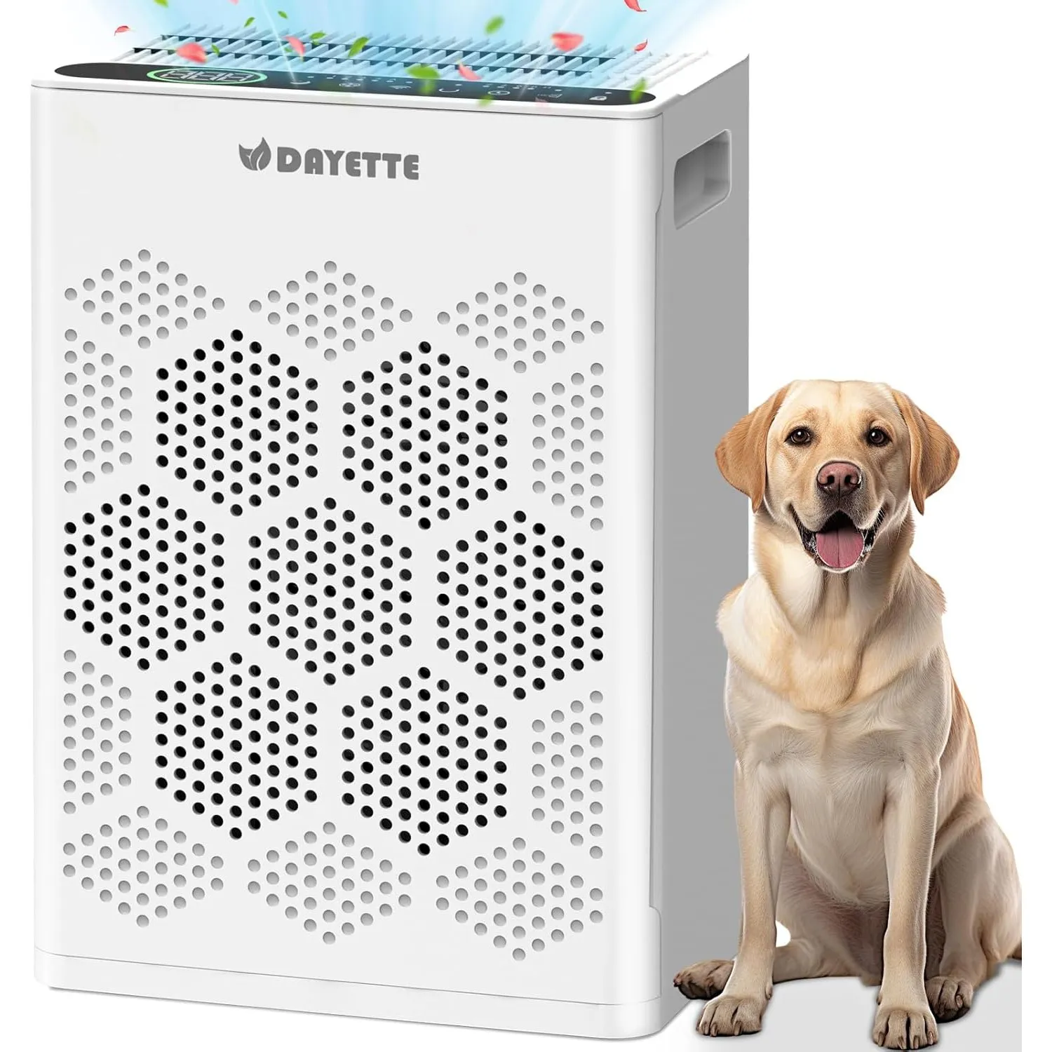 Luftreiniger Allergiker, H14 HEPA Filter gegen Staub, Pollen & Tierhaare