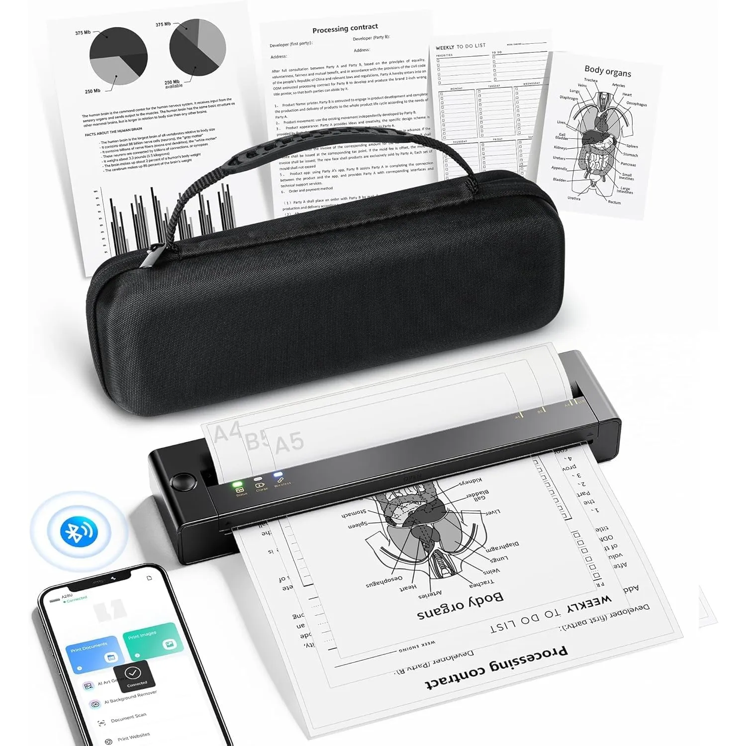 TATTMUSE Thermodrucker A4 Kit Unterstützt das Format A4/A5/B5, Bluetooth Mobiler Drucker, Lernen, Tragbarer Drucker Kom…