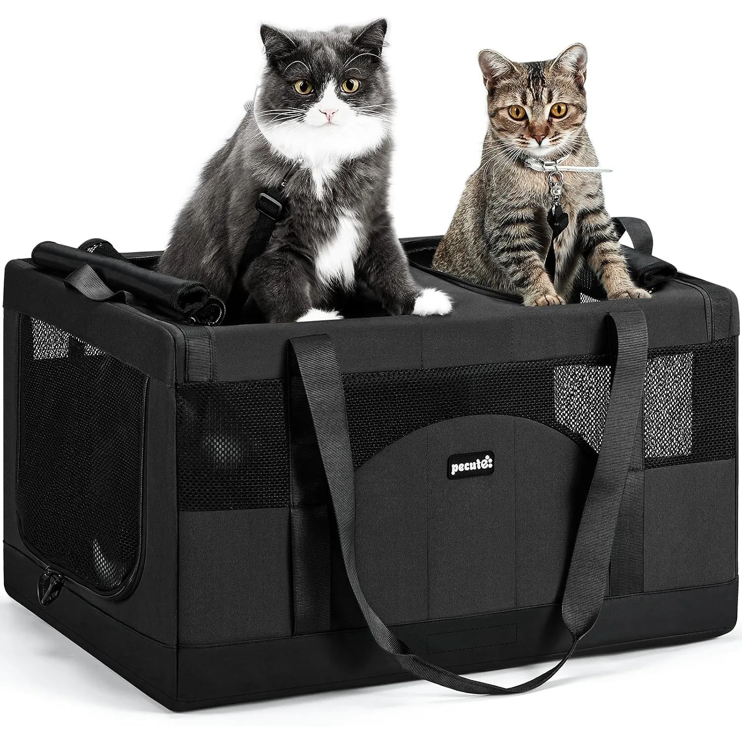 Pecute Katzentransportbox Groß Faltbar Transporttasche 2 Katzen,Dunkelgrau