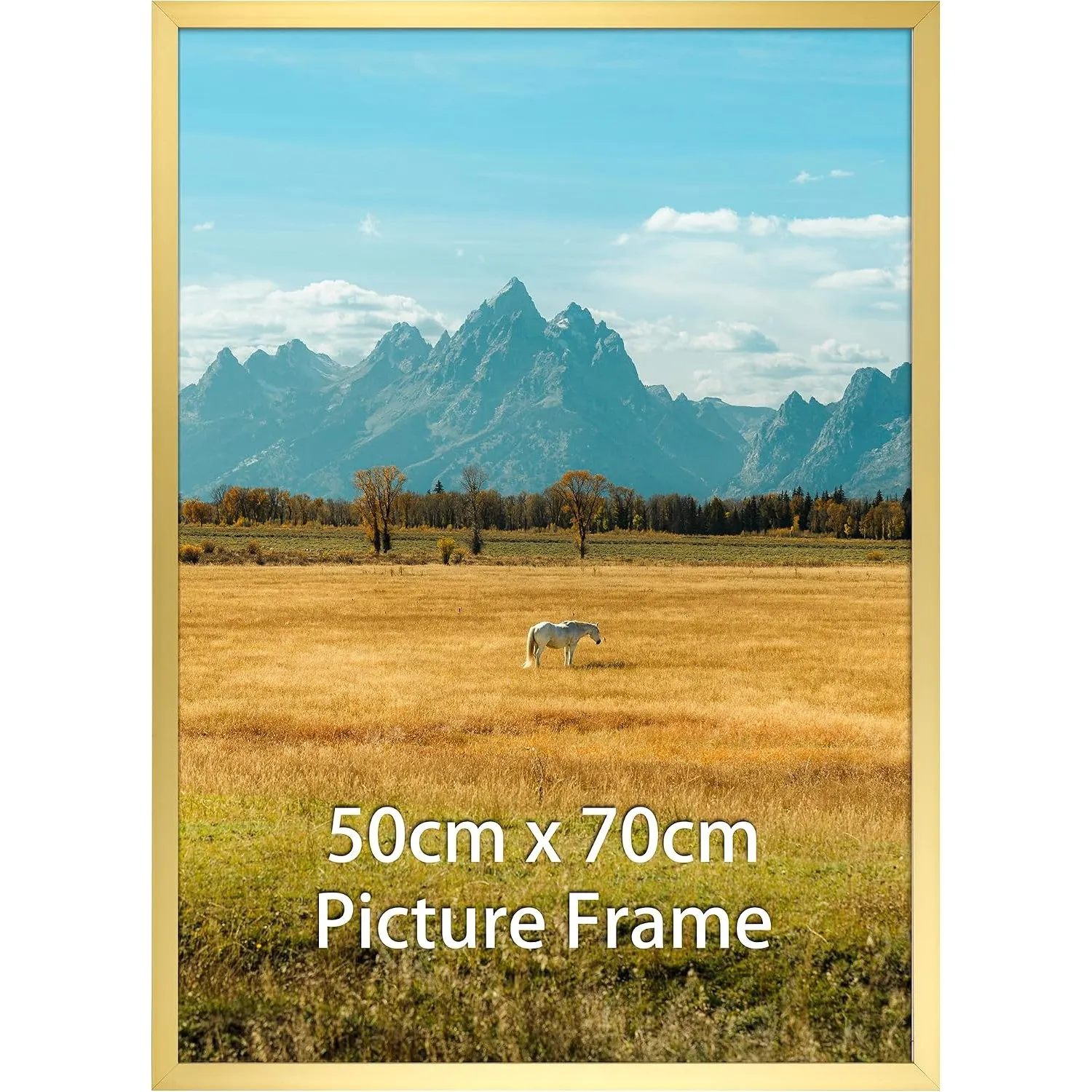 Bilderrahmen 50x70 cm, 1 Stück Bilderrahmen in Gold, geeignet für 70x50 cm Fotos, Poster und Kunstwerke, passend zur Wa…