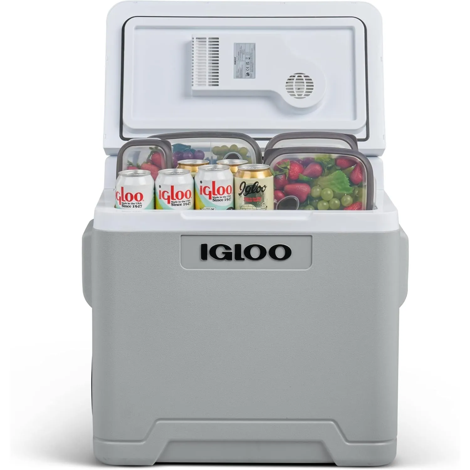 Igloo IE42C elektrische Kühlbox, 12V und 230V, 42L - kompakter Mini-Kühlschrank für Auto, Camping, Urlaub, Boot, Festiv…