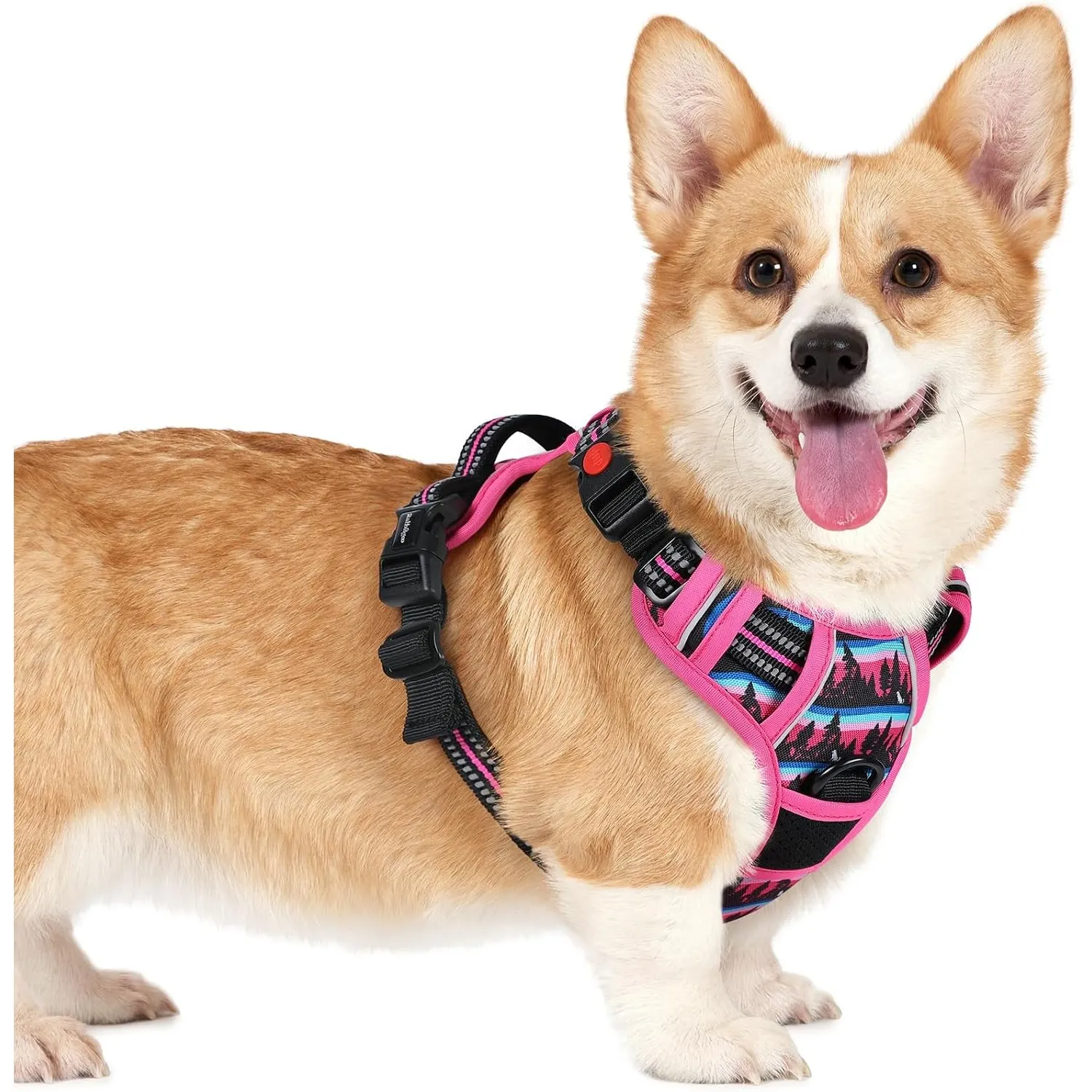rabbitgoo Hundegeschirr Kleine Hunde Leichtes Anlegen, S, Bergrosa
