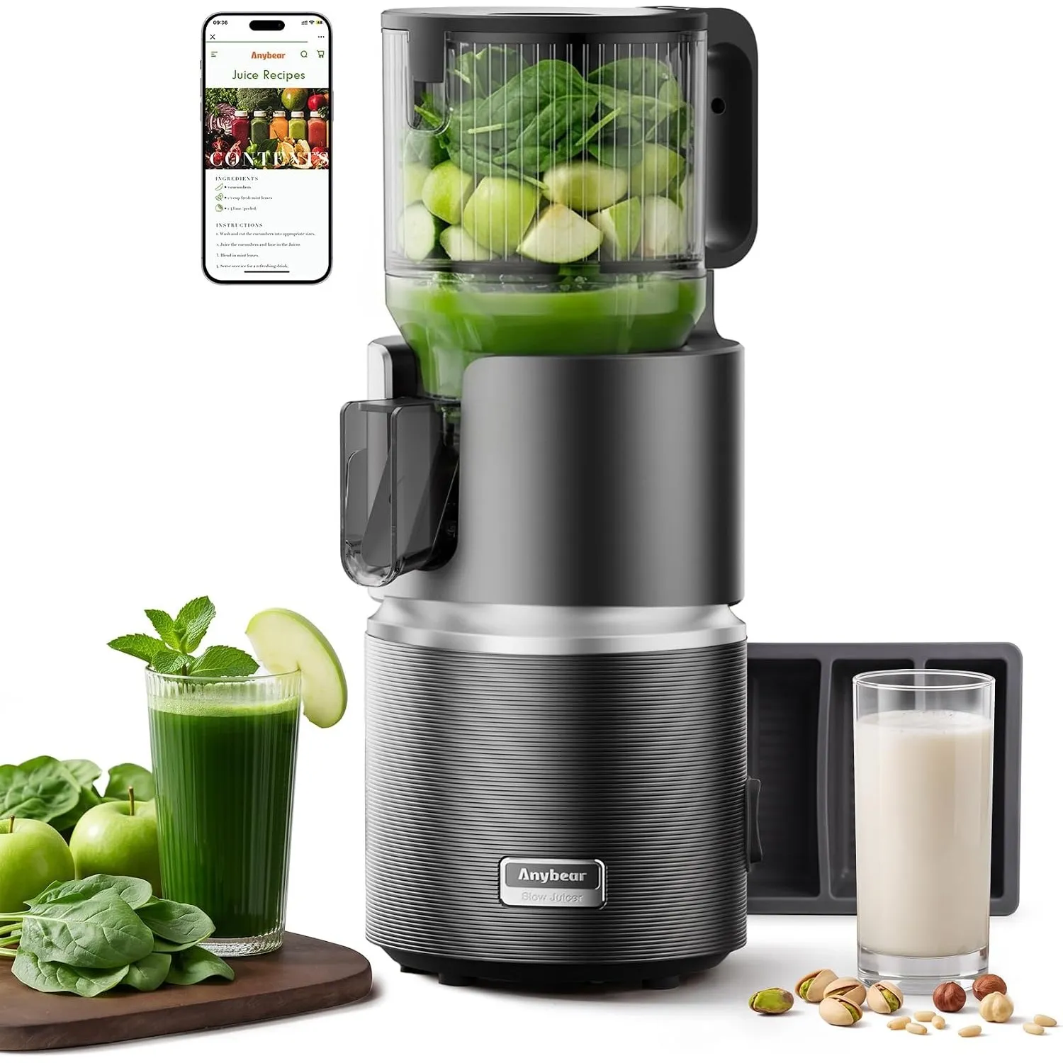 Anybear 350W Entsafter für Saft, Sorbet & Nussmilch + Rezeptbuch